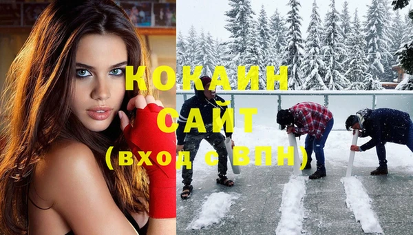 крисы Алзамай