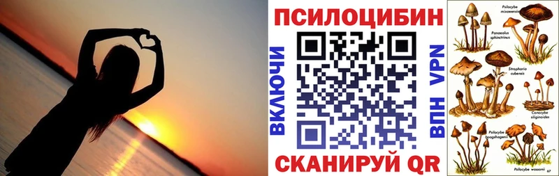Псилоцибиновые грибы Magic Shrooms  Берёзовка 